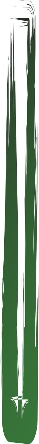 design green brush